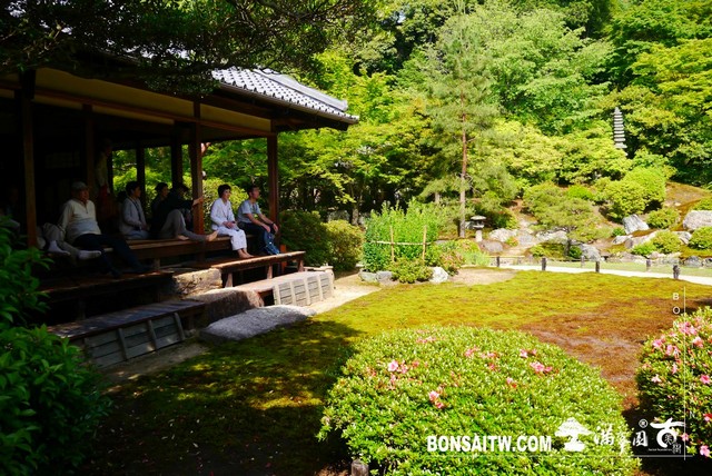 P1260288 [日本庭園]青蓮院．京都