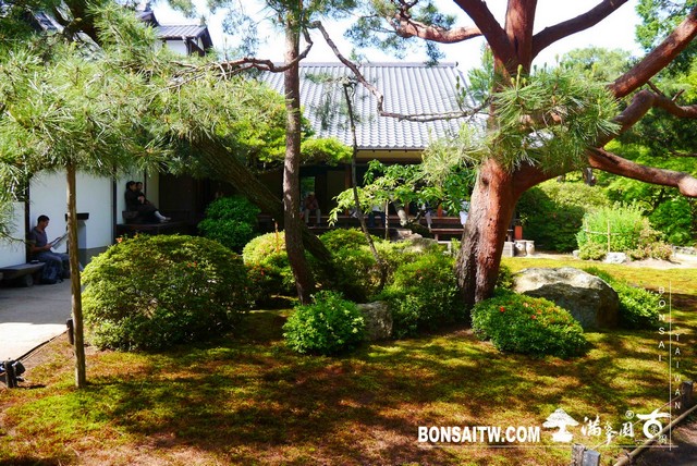 P1260296 [日本庭園]青蓮院．京都