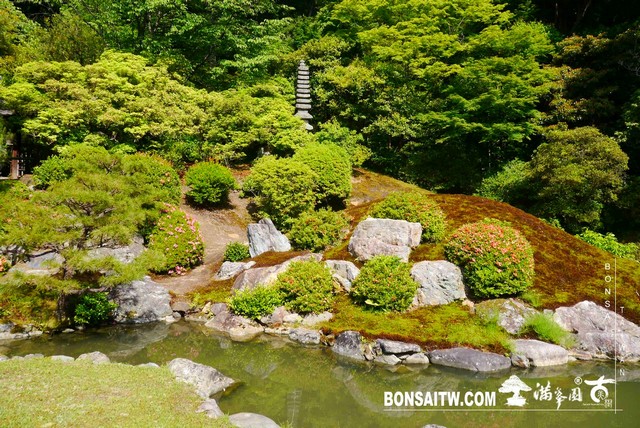 P1260300 [日本庭園]青蓮院．京都