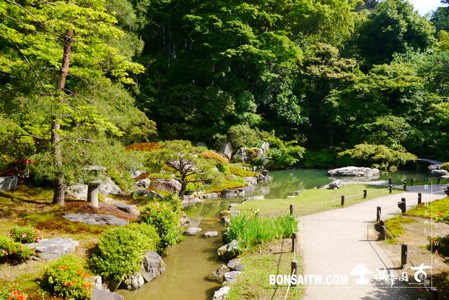 P1260310 [日本庭園]青蓮院．京都