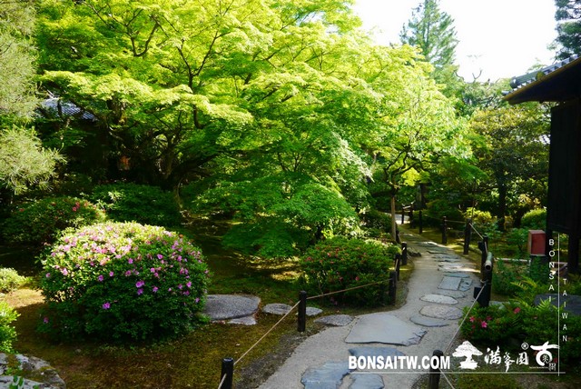 P1260328 [日本庭園]青蓮院．京都