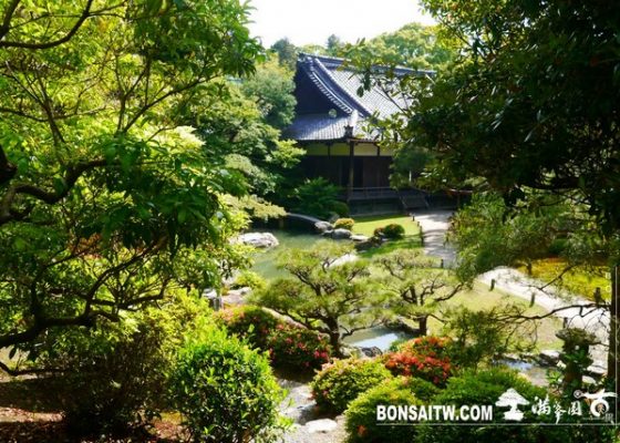 P1260338 [日本庭園]青蓮院．京都 日本