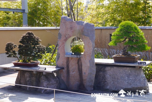 P1390881 [建築與空間]大宮盆栽美術館 建築與空間(architecture and space)