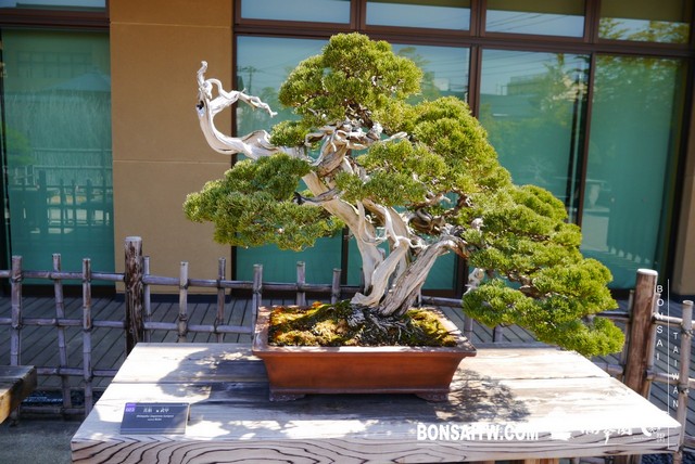 P1390897 [建築與空間]大宮盆栽美術館 建築與空間(architecture and space)