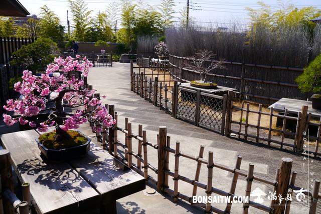 P1390963 [建築與空間]大宮盆栽美術館 建築與空間(architecture and space)