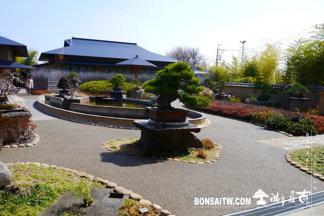 P1390977 [建築與空間]大宮盆栽美術館 建築與空間(architecture and space)