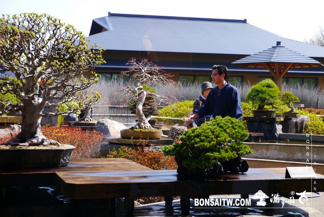 P1400063 [建築與空間]大宮盆栽美術館 建築與空間(architecture and space)