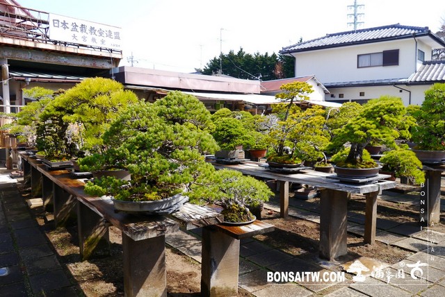 P1400194 [建築與空間]藤樹園 建築與空間(architecture and space)