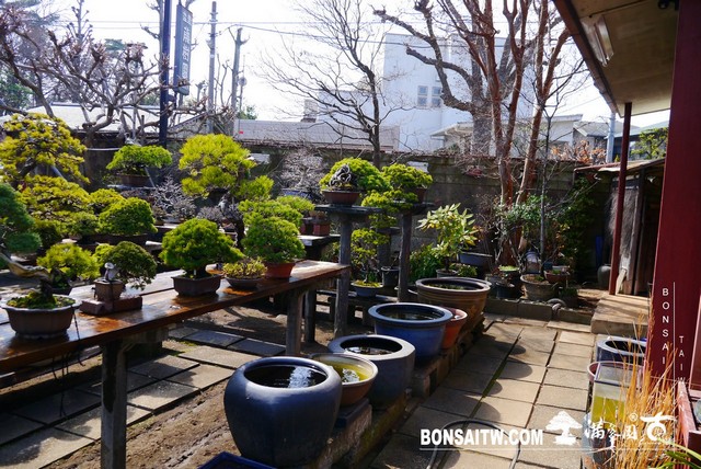 P1400197 [建築與空間]藤樹園 建築與空間(architecture and space)