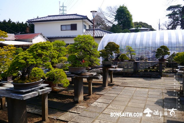 P1400198 [建築與空間]藤樹園 建築與空間(architecture and space)