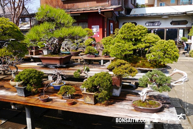 P1400199 [建築與空間]藤樹園 建築與空間(architecture and space)