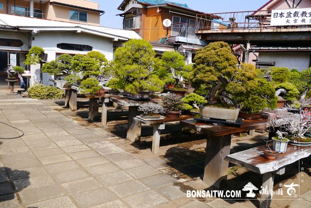 P1400202 [建築與空間]藤樹園 建築與空間(architecture and space)
