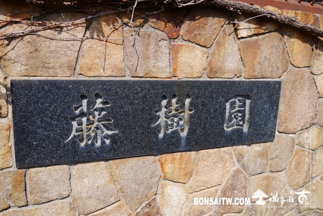 P1400203 [建築與空間]藤樹園 建築與空間(architecture and space)