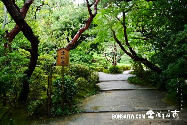 P1410630 [日本庭園]平安神宮神苑．京都
