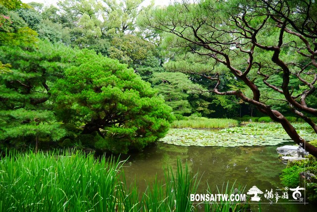 P1410631 [日本庭園]平安神宮神苑．京都