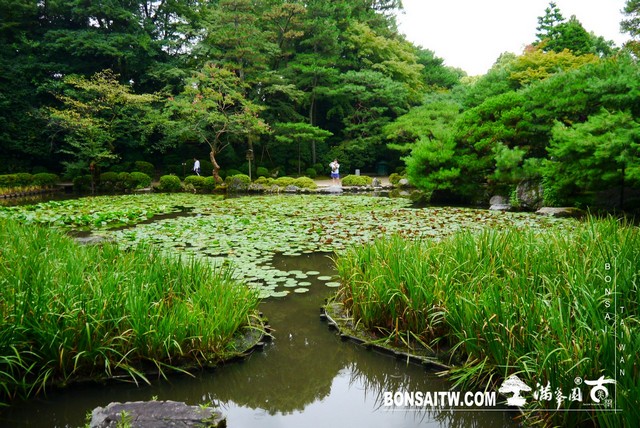 P1410639 [日本庭園]平安神宮神苑．京都