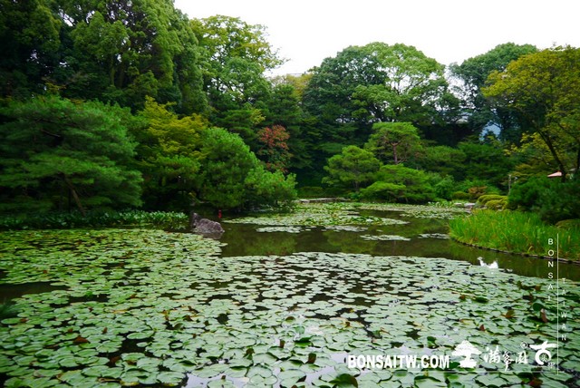 P1410646 [日本庭園]平安神宮神苑．京都