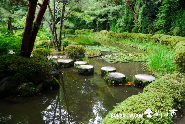 P1410654 [日本庭園]平安神宮神苑．京都