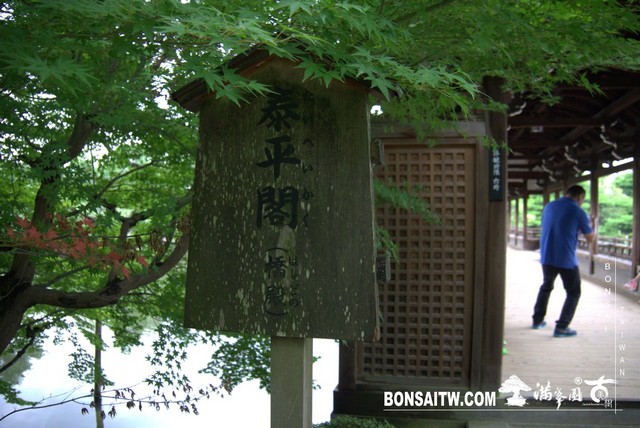P1410678 [日本庭園]平安神宮神苑．京都
