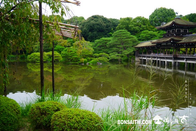 P1410711 [日本庭園]平安神宮神苑．京都