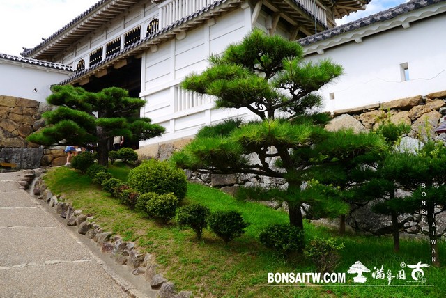 P1410767 [建築與空間]姬路城 建築與空間(architecture and space)