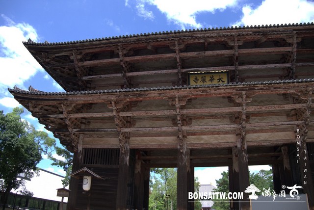 P1420268 [建築與空間]東大寺(Tōdai-ji)．大佛殿 建築與空間(architecture and space)