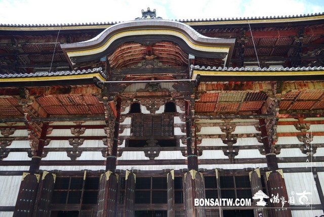 P1420322 [建築與空間]東大寺(Tōdai-ji)．大佛殿 建築與空間(architecture and space)