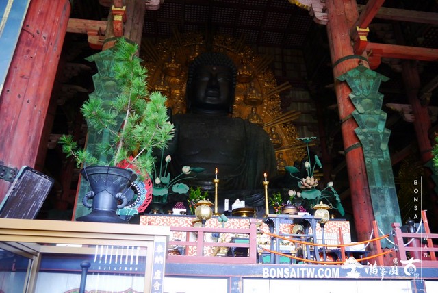 P1420325 [建築與空間]東大寺(Tōdai-ji)．大佛殿 建築與空間(architecture and space)