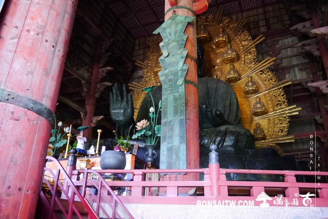 P1420344 [建築與空間]東大寺(Tōdai-ji)．大佛殿 建築與空間(architecture and space)