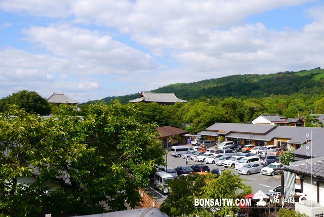 P1420352 [建築與空間]東大寺(Tōdai-ji)．大佛殿 建築與空間(architecture and space)