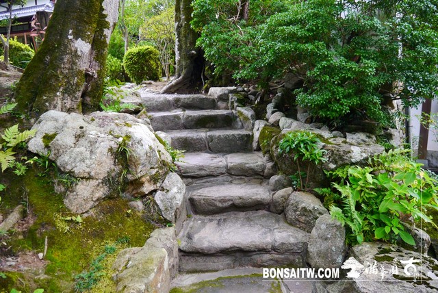 P1420374 [日本庭園]吉城園．奈良