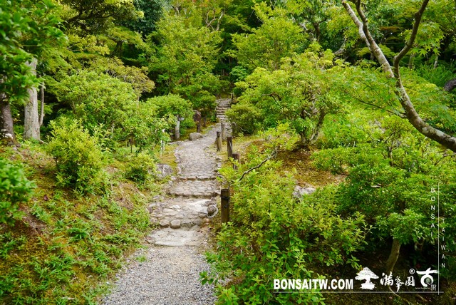 P1420416 [日本庭園]吉城園．奈良