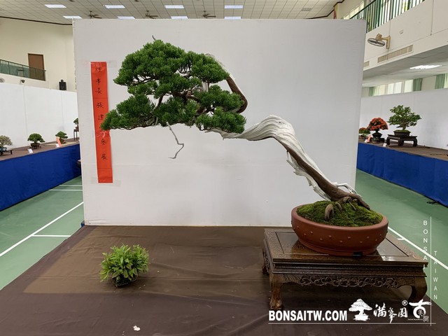 014 [展覽]2019雅風展