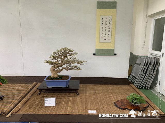 016 [展覽]2019雅風展