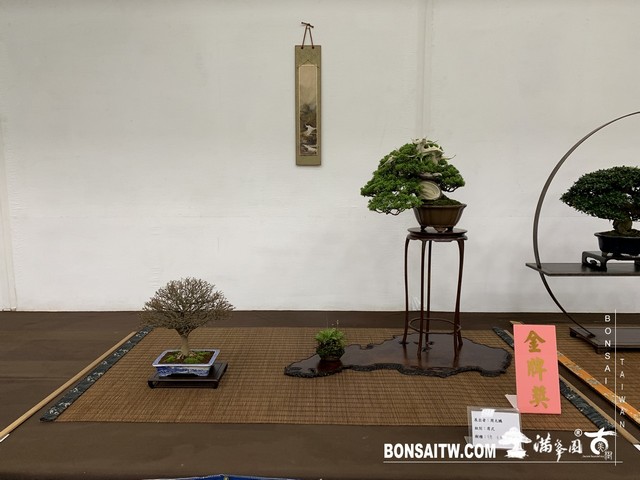 022 [展覽]2019雅風展