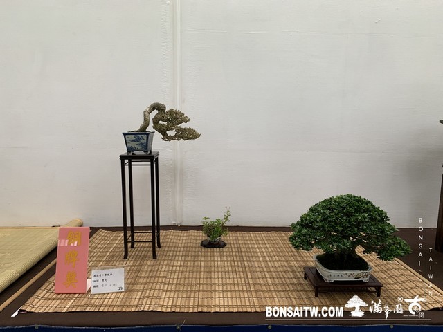 024 [展覽]2019雅風展