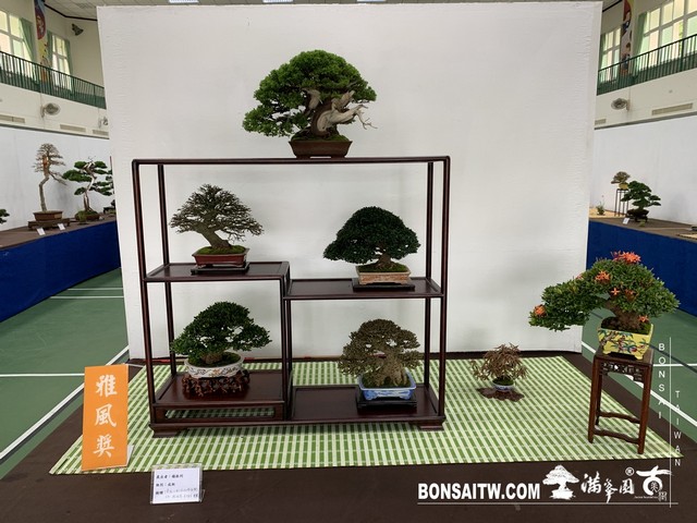 069 [展覽]2019雅風展