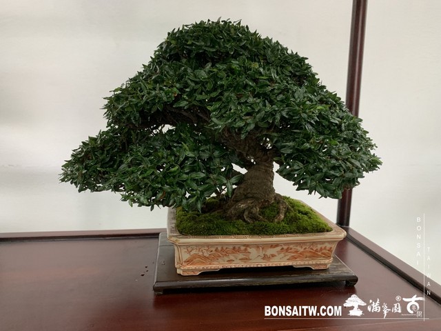 070 [展覽]2019雅風展