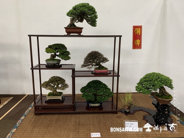 072 [展覽]2019雅風展