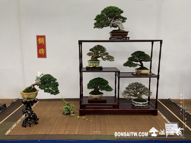 073 [展覽]2019雅風展