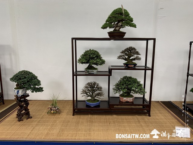 078 [展覽]2019雅風展