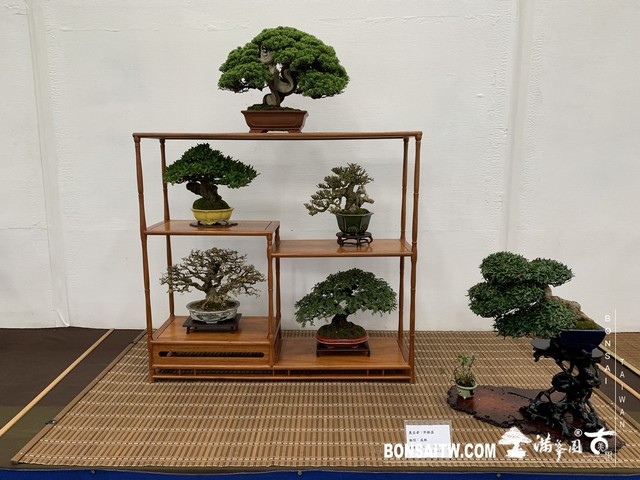 082 [展覽]2019雅風展