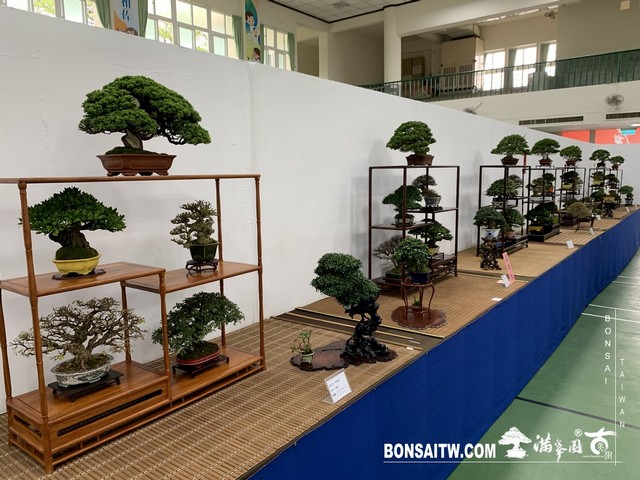 084 [展覽]2019雅風展