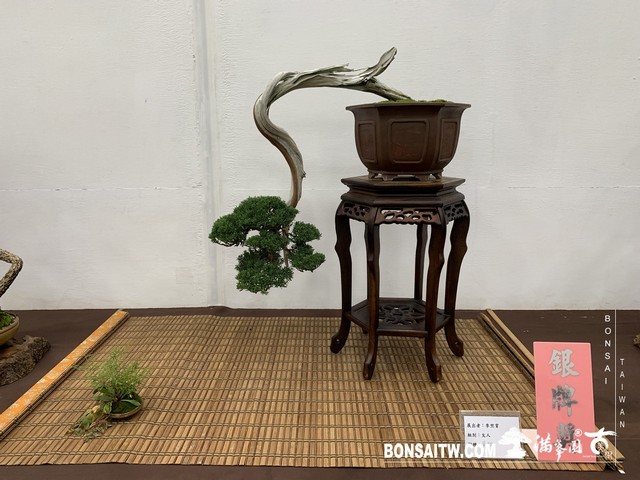 090 [展覽]2019雅風展