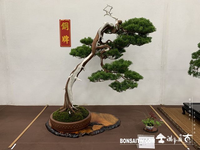 093 [展覽]2019雅風展