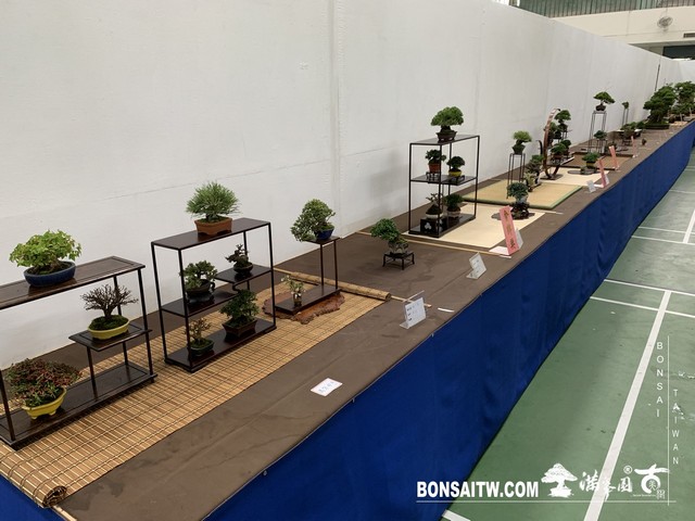 100 [展覽]2019雅風展