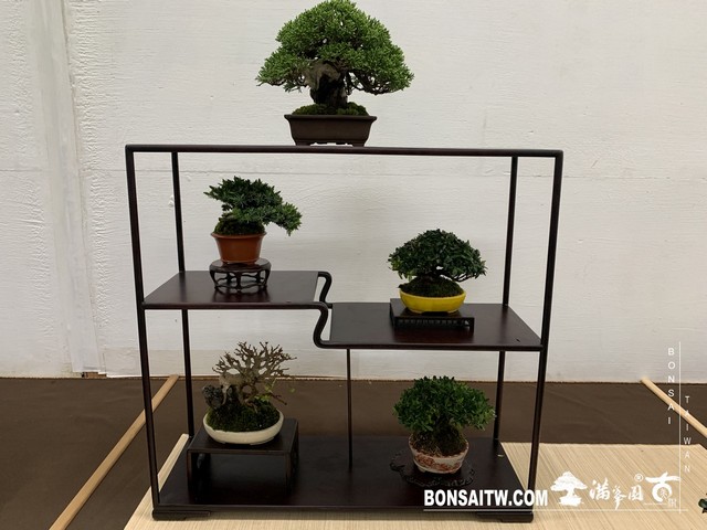 104 [展覽]2019雅風展