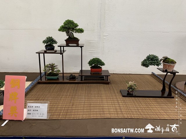 110 [展覽]2019雅風展