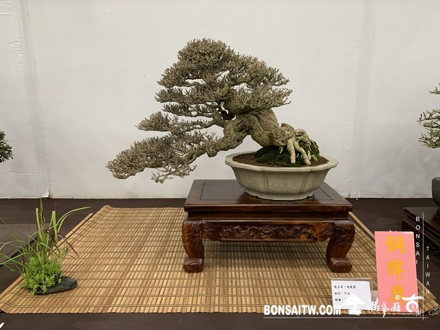 123 [展覽]2019雅風展