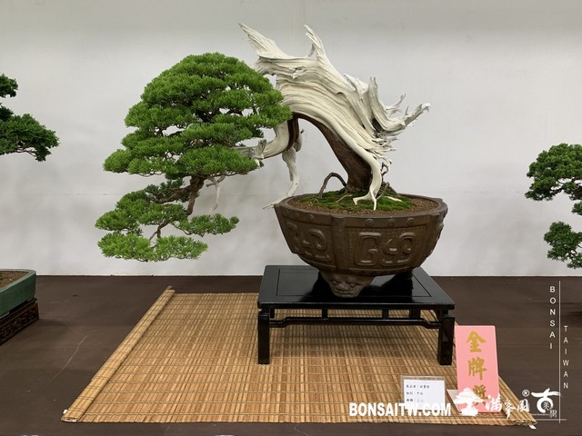 128 [展覽]2019雅風展